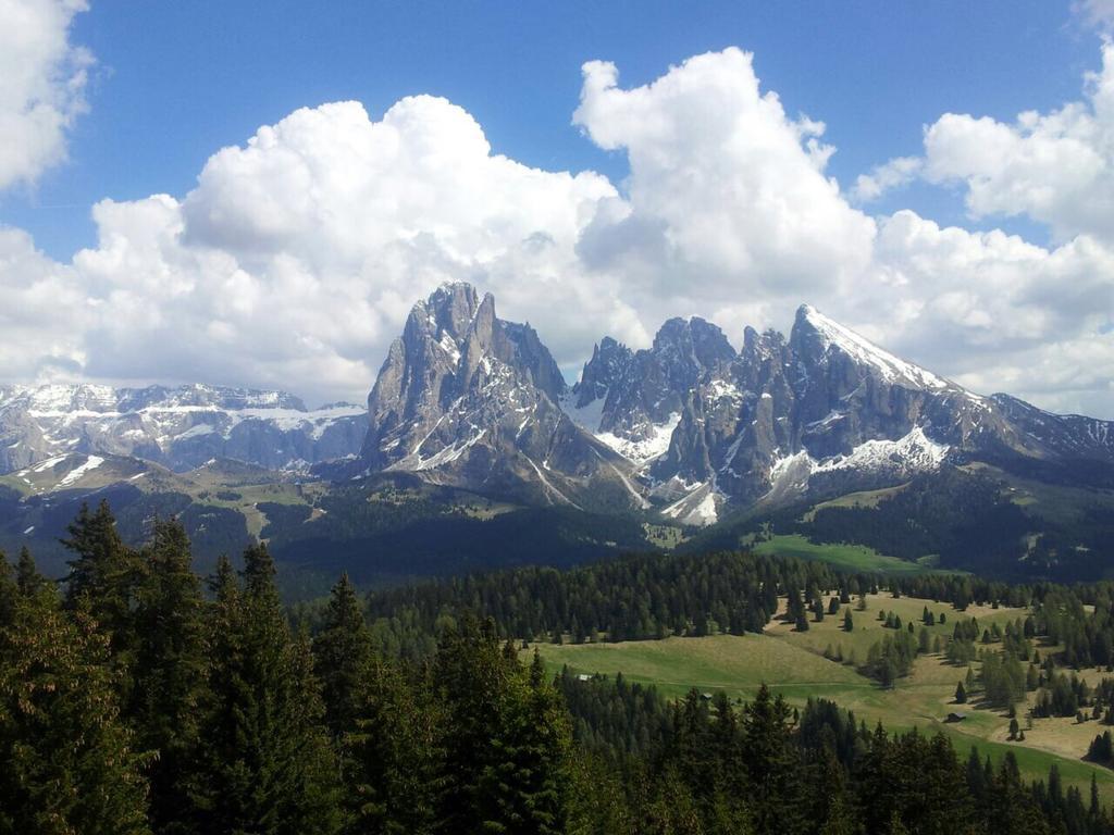 Garni Crepaz Bed & Breakfast Selva di Val Gardena Bagian luar foto